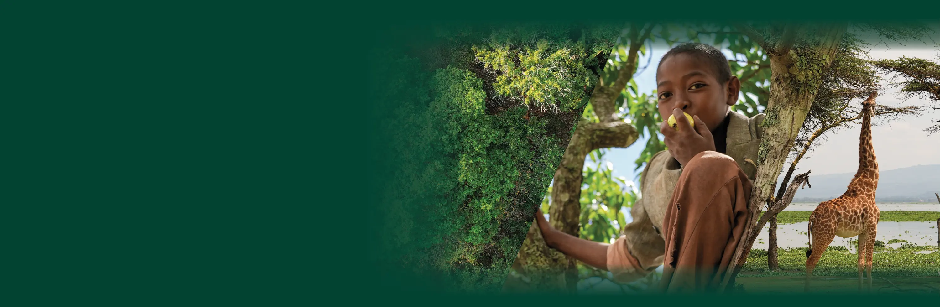 New Banner Background