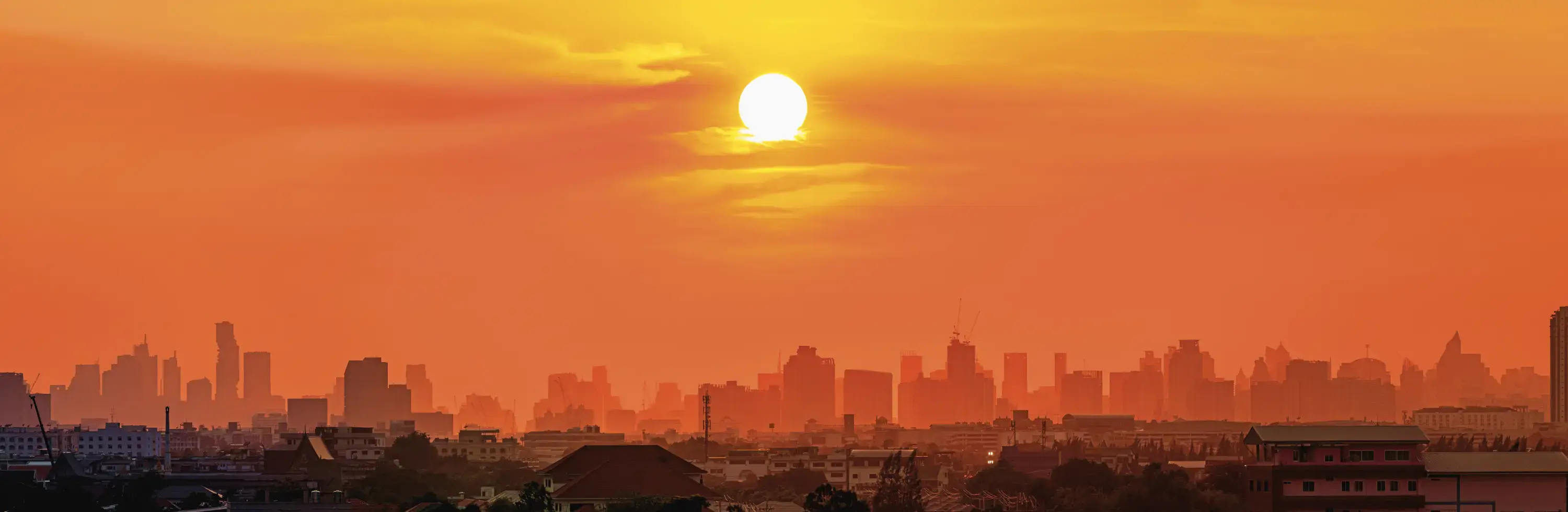New Banner Background