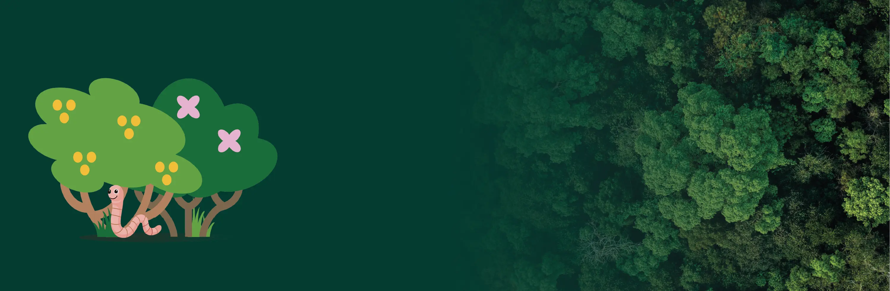New Banner Background
